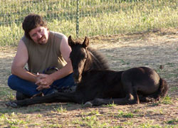 Troy with Foal